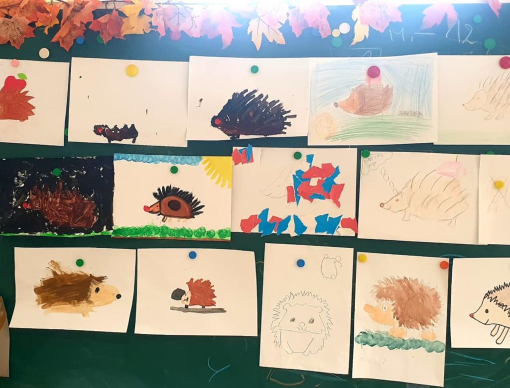 5ea0042b cdadc41 86f3 e2585eaf91d9 9257