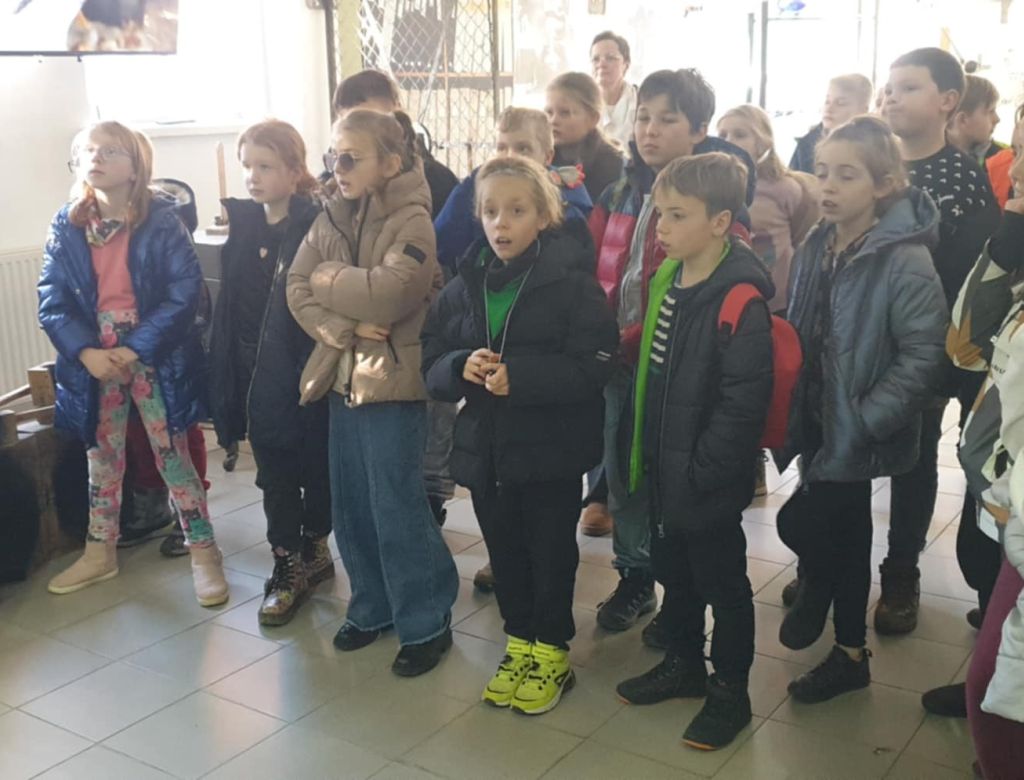 b5441bbaa 4ac3 a2bc d08db56ba0b6 9596