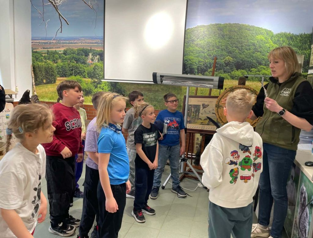 914e6020ce3 4f68 999d 06d3765640c90048