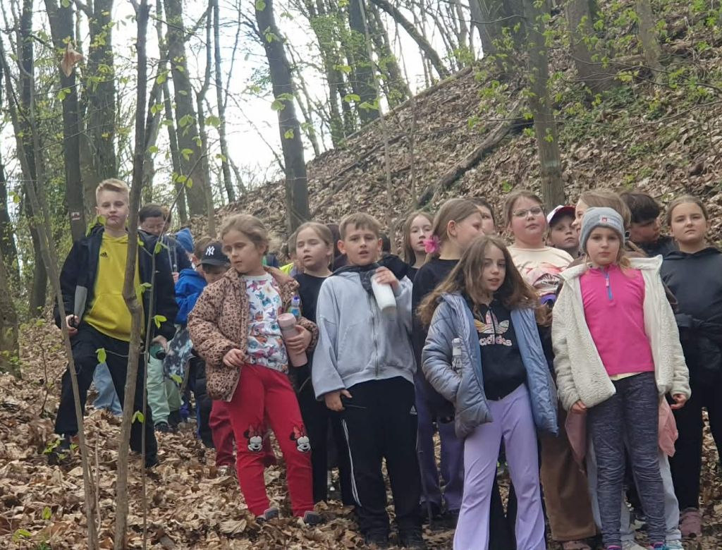 d3163076c88 4521 bcc2 ab48f324deca 10057