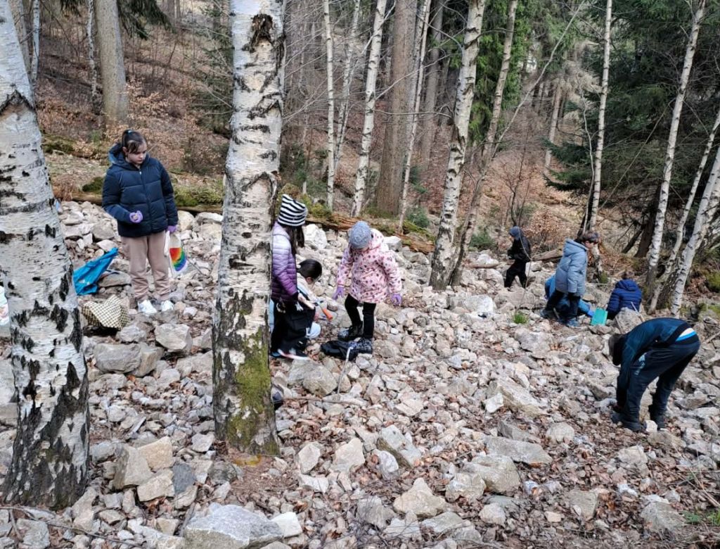 e05fa482c8e 452a 88f1 0e6f3719981c0102