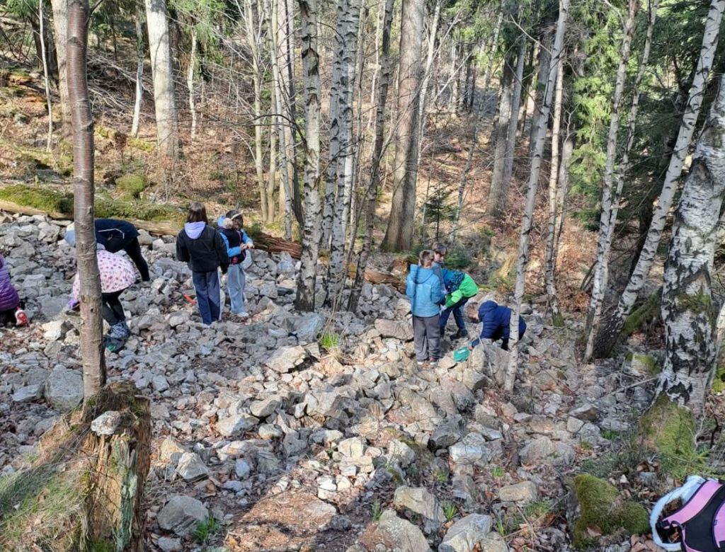 f8e859a9 43b2 88e0 50f35f3d7c0f 10103