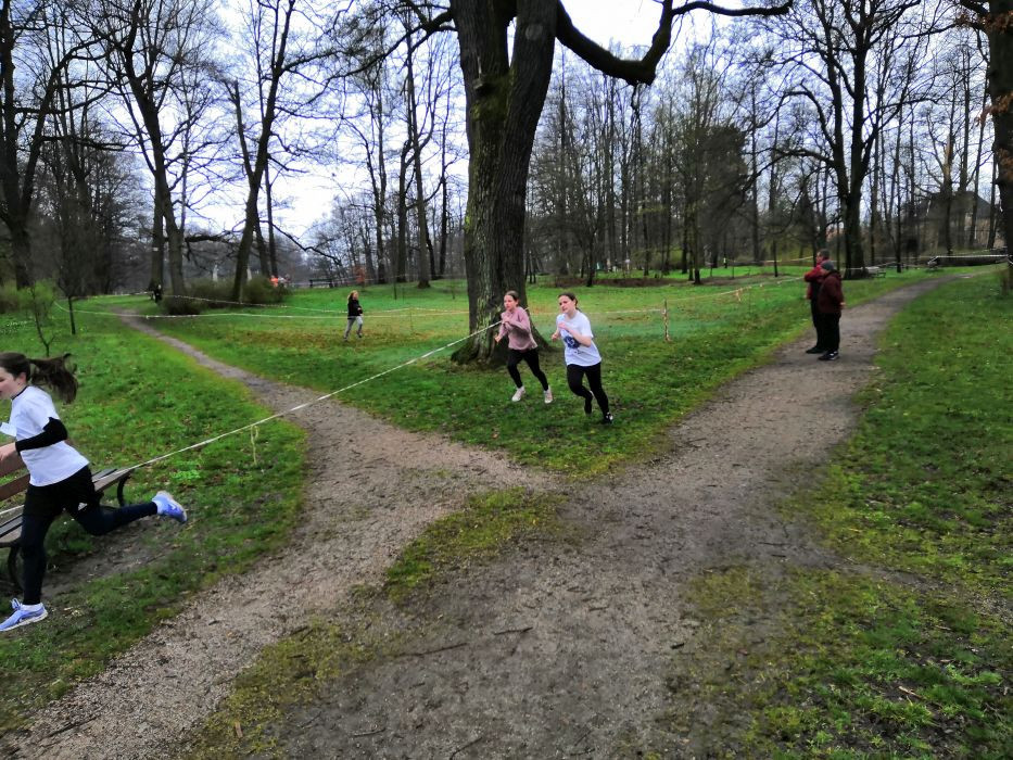 IMG 100306 1730 IMG 100306 1730