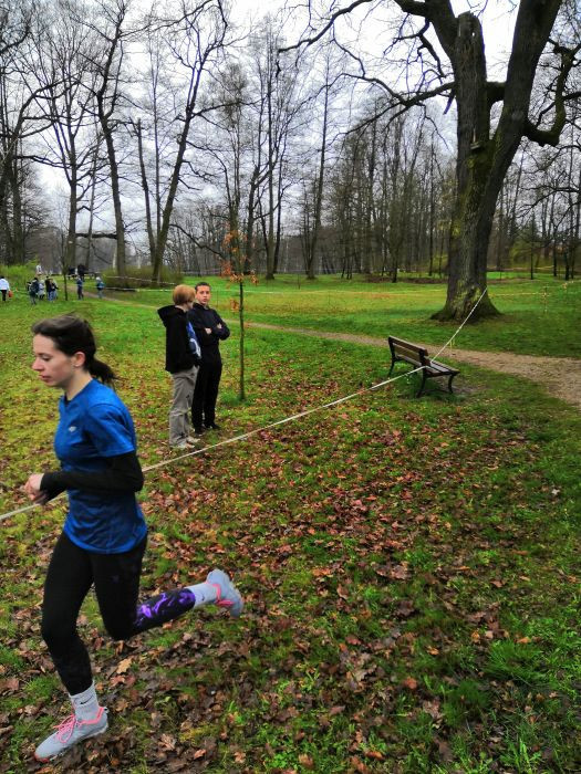 IMG 103501 1736 IMG 103501 1736