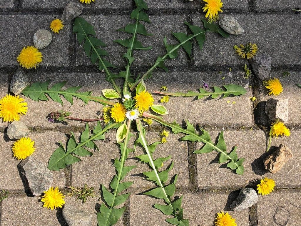 Image00002