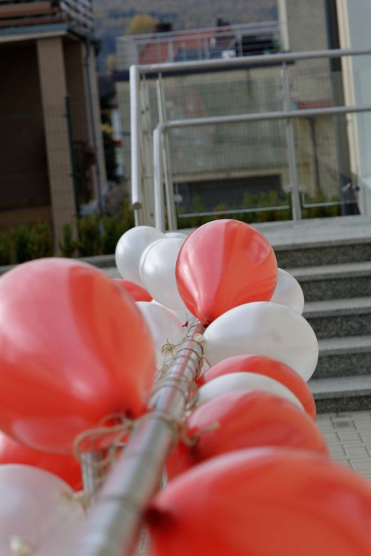 315150193 597646337391765855 n 3180