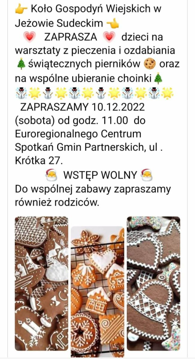 317794267 2499059898361710643 n 3382