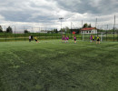 IMG 124700 4392