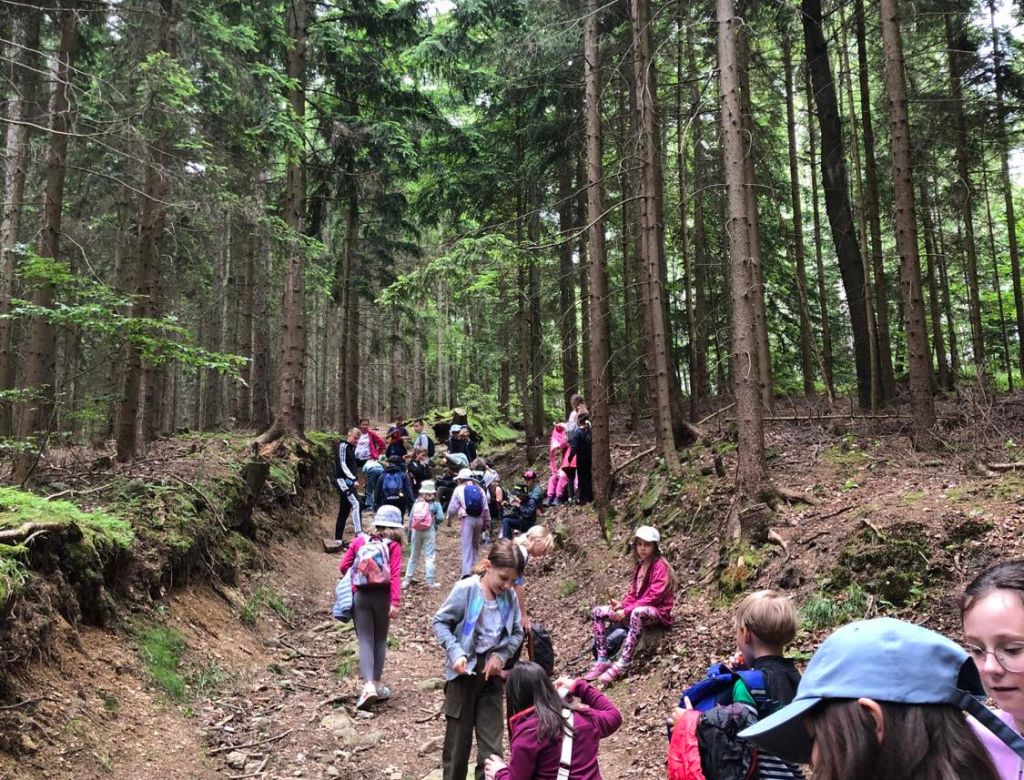 355221806 4758290006446946599 n 4830