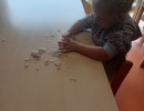 IMG20230615093821