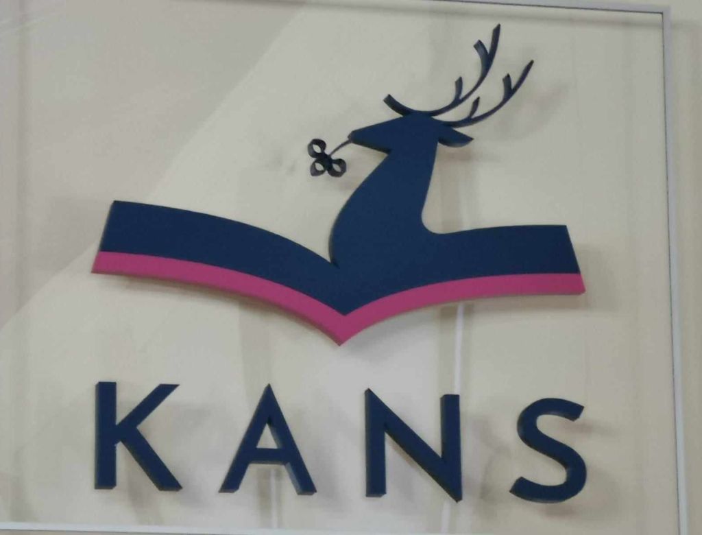 399996869 3290641975288743618 n 5557