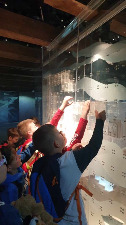 434685310 769656692483407322 n 6526