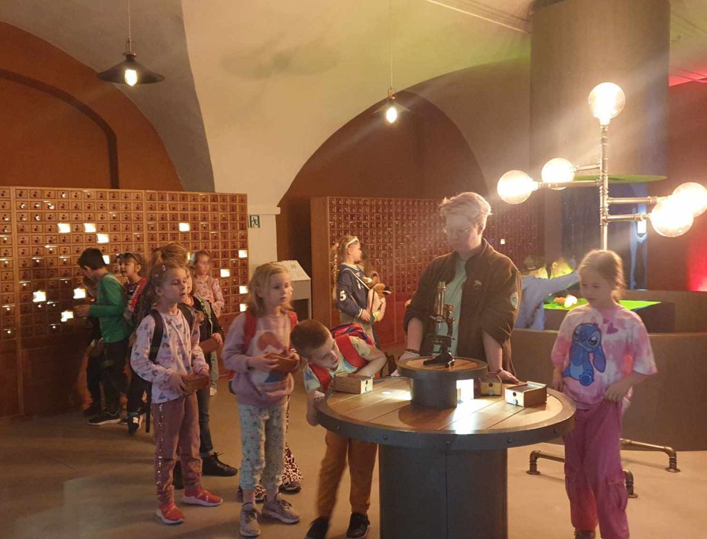 434744028 293405625296335734 n 6529