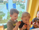 IMG 112227 6738