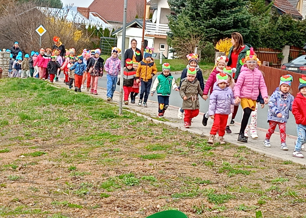 IMG20240321094524