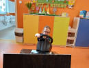 IMG20240506095045