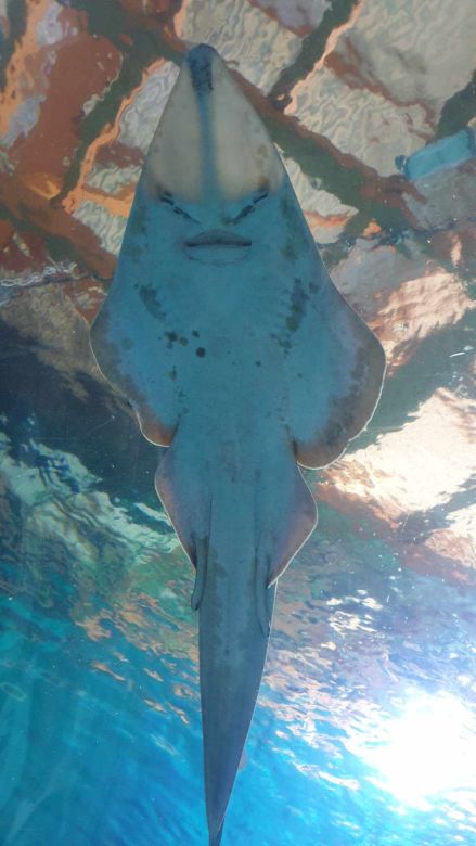 436141001 4554944019689637580 n 6907