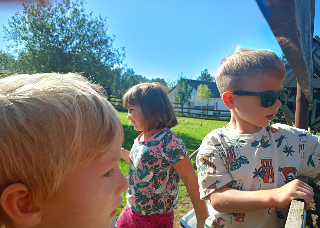 IMG20240920110806