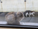 FB IMG 8299