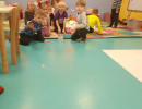IMG20250130092725