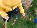 IMG20250411133248