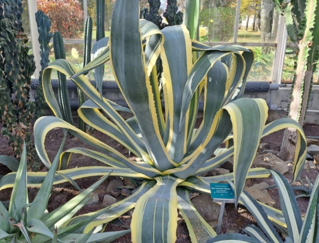 3a5b72b9 bc9bcc1 b02e 5a4ceec0dc75 9206