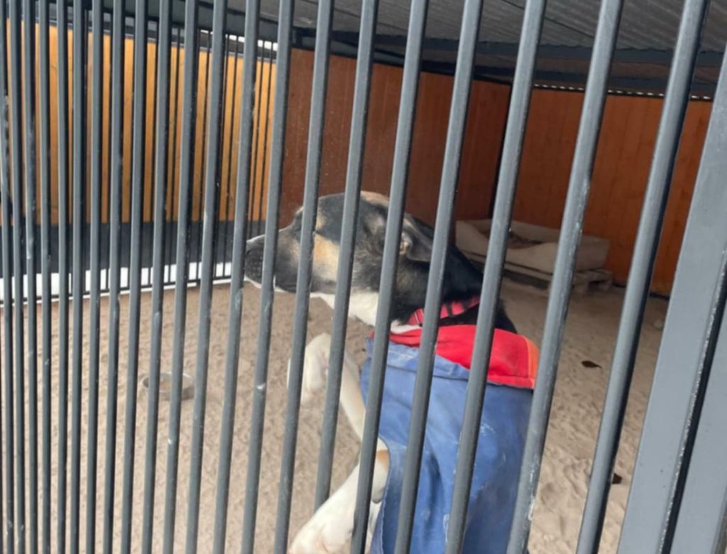 5a72693f 48d2 872c 9399b4f26511 9490