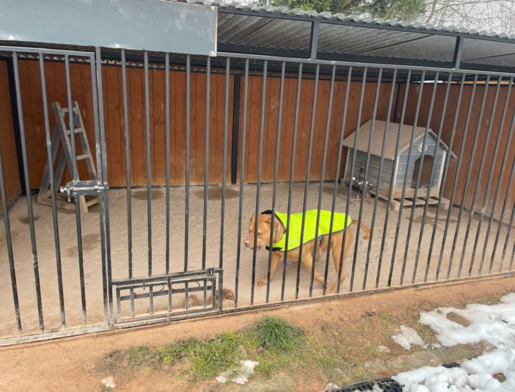 70c3297ee 4324 95e6 b02555835bd0 9492