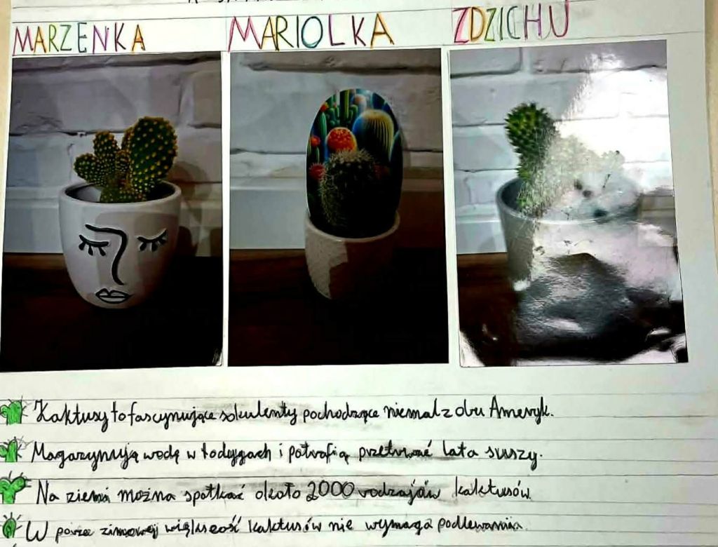 0caaa495f0 4f8a 80aa c3621c243bb5 9918