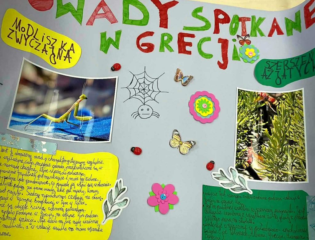 1c07ecdb e0a5 a52e 998bf34ae0d1 9919