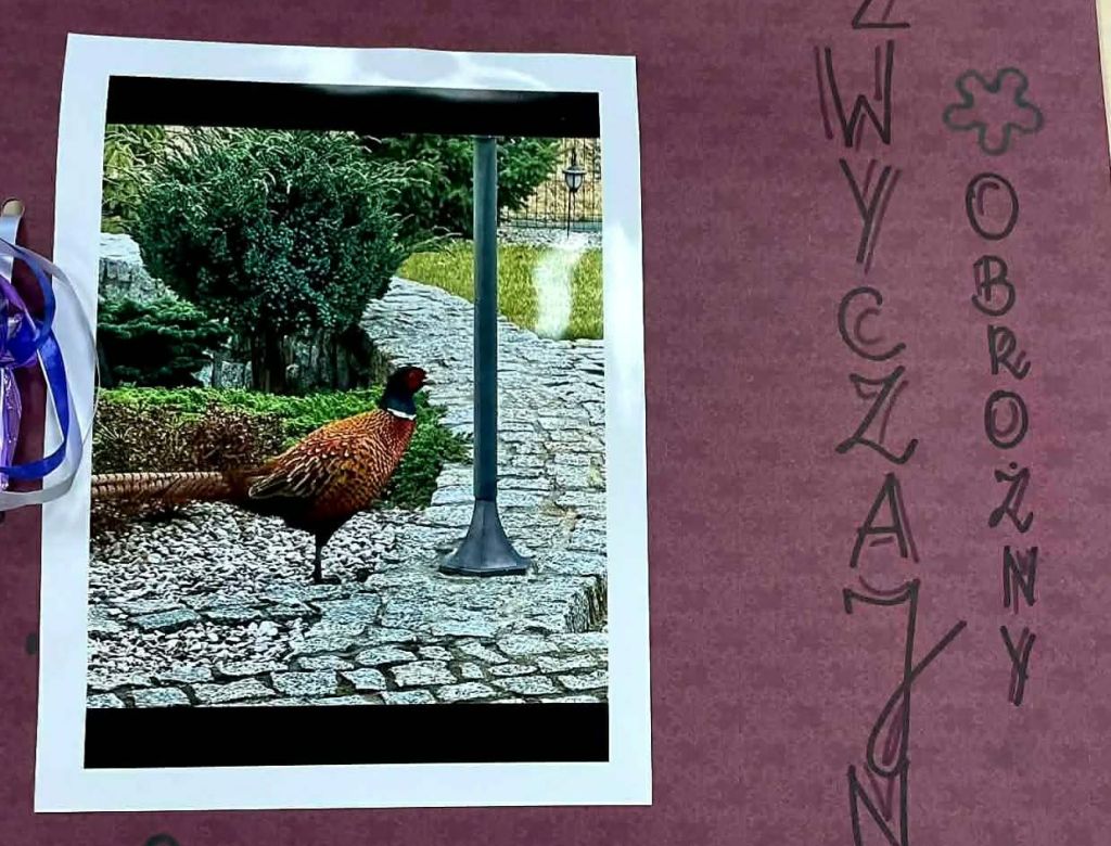 43ce8d08 fc97f4 9a0c d24976ccd78c 9923