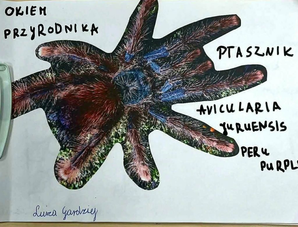 8a4b4a26b2e 4ac9 9abf 949dbe47c686 9922